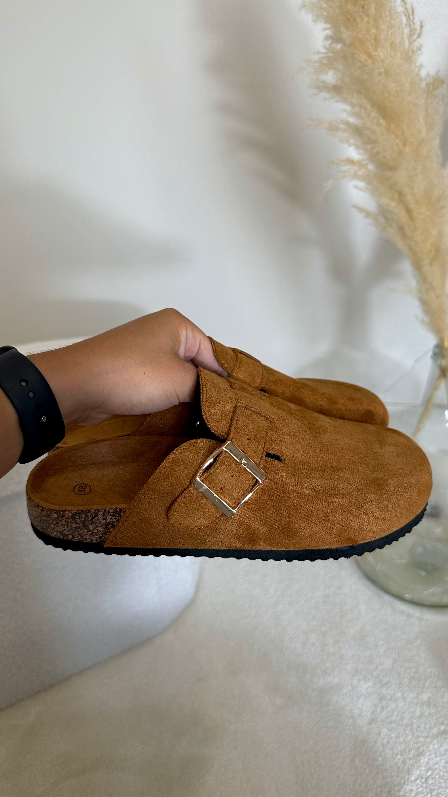 Mules camel